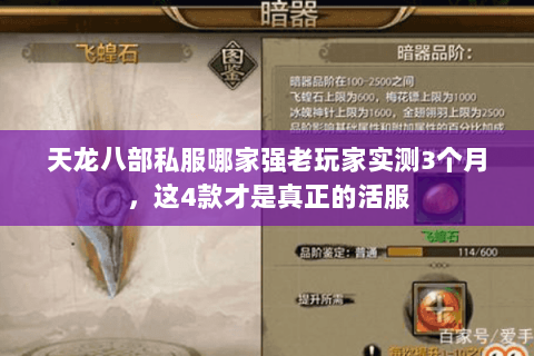 天龙八部私服哪家强老玩家实测3个月,这4款才是真正的活服 天龙八部私服哪家强老玩家实测3个月,这4款才是真正的活服