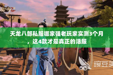 天龙八部私服哪家强老玩家实测3个月,这4款才是真正的活服 天龙八部私服哪家强老玩家实测3个月,这4款才是真正的活服