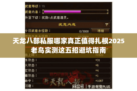 天龙八部私服哪家真正值得扎根2025老鸟实测这五招避坑指南 天龙八部私服哪家真正值得扎根2025老鸟实测这五招避坑指南