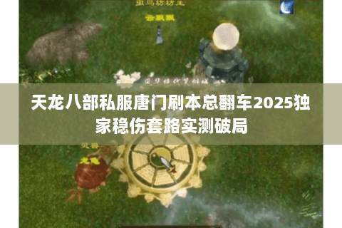 天龙八部私服唐门刷本总翻车2025独家稳伤套路实测破局 天龙八部私服唐门刷本总翻车2025独家稳伤套路实测破局