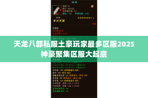 天龙八部私服土豪玩家最多区服2025神豪聚集区服大起底 天龙八部私服土豪玩家最多区服2025神豪聚集区服大起底