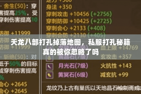 天龙八部打孔掉落地图,私服打孔秘籍真的被你忽略了吗 天龙八部打孔掉落地图,私服打孔秘籍真的被你忽略了吗