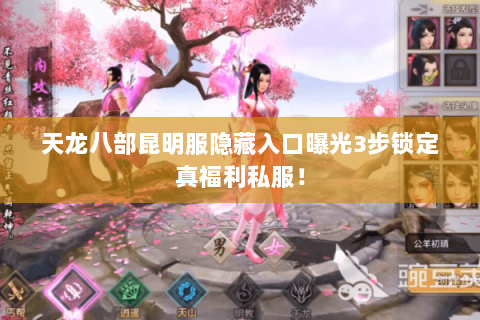 天龙八部昆明服隐藏入口曝光3步锁定真福利私服! 天龙八部昆明服隐藏入口曝光3步锁定真福利私服!