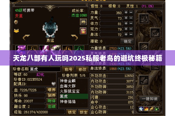 天龙八部有人玩吗2025私服老鸟的避坑终极秘籍 天龙八部有人玩吗2025私服老鸟的避坑终极秘籍