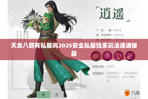天龙八部有私服吗2025安全私服独家玩法速通秘籍 天龙八部有私服吗2025安全私服独家玩法速通秘籍