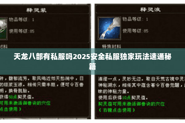 天龙八部有私服吗2025安全私服独家玩法速通秘籍 天龙八部有私服吗2025安全私服独家玩法速通秘籍