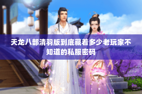 天龙八部清羽版到底藏着多少老玩家不知道的私服密码 天龙八部清羽版到底藏着多少老玩家不知道的私服密码
