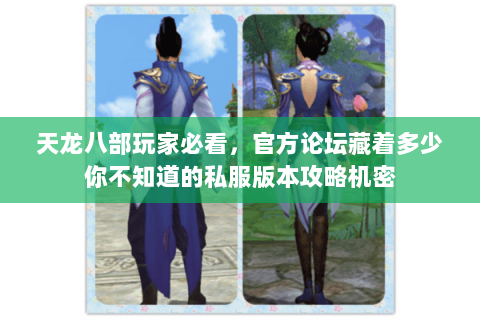 天龙八部玩家必看,官方论坛藏着多少你不知道的私服版本攻略机密 天龙八部玩家必看,官方论坛藏着多少你不知道的私服版本攻略机密
