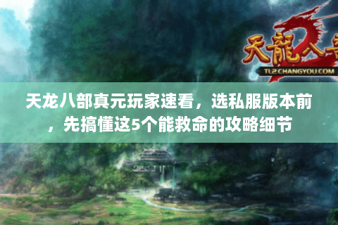 天龙八部真元玩家速看,选私服版本前,先搞懂这5个能救命的攻略细节 天龙八部真元玩家速看,选私服版本前,先搞懂这5个能救命的攻略细节