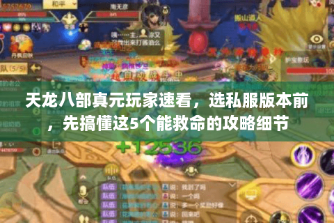 天龙八部真元玩家速看,选私服版本前,先搞懂这5个能救命的攻略细节 天龙八部真元玩家速看,选私服版本前,先搞懂这5个能救命的攻略细节