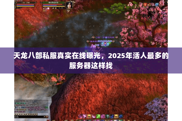 天龙八部私服真实在线曝光,2025年活人最多的服务器这样找 天龙八部私服真实在线曝光,2025年活人最多的服务器这样找