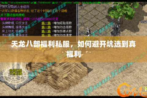 天龙八部福利私服,如何避开坑选到真福利 天龙八部福利私服,如何避开坑选到真福利