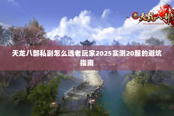 天龙八部私副怎么选老玩家2025实测20服的避坑指南 天龙八部私副怎么选老玩家2025实测20服的避坑指南