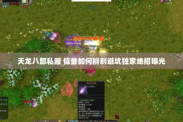 天龙八部私服 信誉如何辨别避坑独家绝招曝光