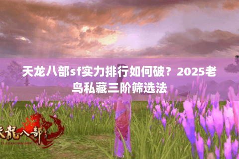 天龙八部sf实力排行如何破?2025老鸟私藏三阶筛选法 天龙八部sf实力排行如何破?2025老鸟私藏三阶筛选法