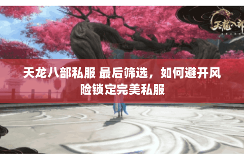 天龙八部私服 最后筛选,如何避开风险锁定完美私服 天龙八部私服 最后筛选,如何避开风险锁定完美私服