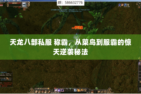 天龙八部私服 称霸,从菜鸟到服霸的惊天逆袭秘法 天龙八部私服 称霸,从菜鸟到服霸的惊天逆袭秘法