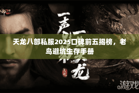 天龙八部私服2025口碑前五揭榜,老鸟避坑生存手册 天龙八部私服2025口碑前五揭榜,老鸟避坑生存手册