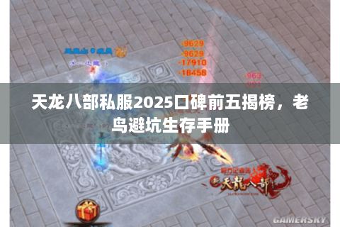 天龙八部私服2025口碑前五揭榜,老鸟避坑生存手册 天龙八部私服2025口碑前五揭榜,老鸟避坑生存手册