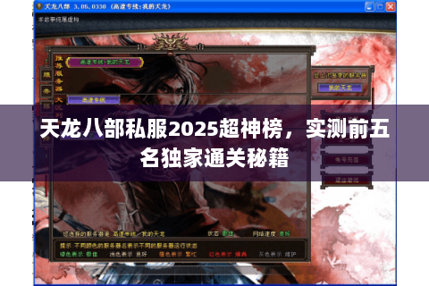 天龙八部私服2025超神榜,实测前五名独家通关秘籍 天龙八部私服2025超神榜,实测前五名独家通关秘籍