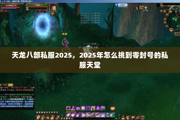 天龙八部私服2025,2025年怎么挑到零封号的私服天堂 天龙八部私服2025,2025年怎么挑到零封号的私服天堂