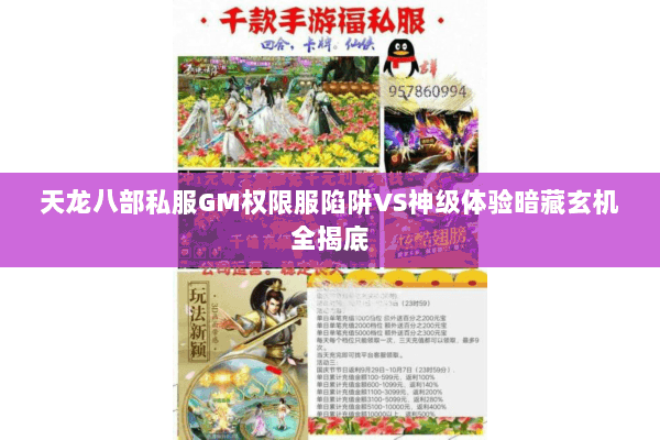 天龙八部私服GM权限服陷阱VS神级体验暗藏玄机全揭底 天龙八部私服GM权限服陷阱VS神级体验暗藏玄机全揭底