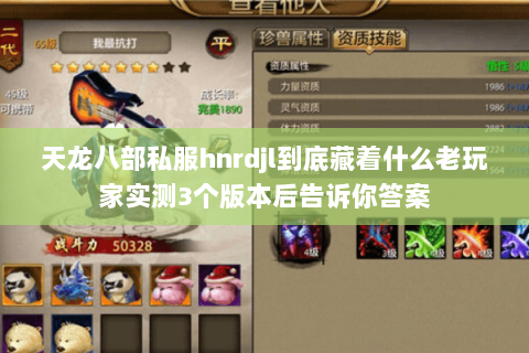 天龙八部私服hnrdjl到底藏着什么老玩家实测3个版本后告诉你答案 天龙八部私服hnrdjl到底藏着什么老玩家实测3个版本后告诉你答案