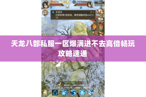 天龙八部私服一区爆满进不去高倍畅玩攻略速通 天龙八部私服一区爆满进不去高倍畅玩攻略速通