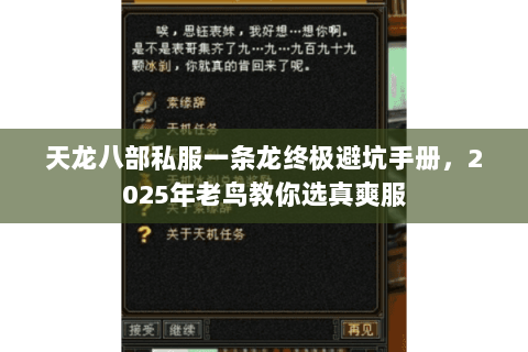 天龙八部私服一条龙终极避坑手册,2025年老鸟教你选真爽服 天龙八部私服一条龙终极避坑手册,2025年老鸟教你选真爽服