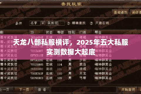 天龙八部私服横评,2025年五大私服实测数据大起底 天龙八部私服横评,2025年五大私服实测数据大起底