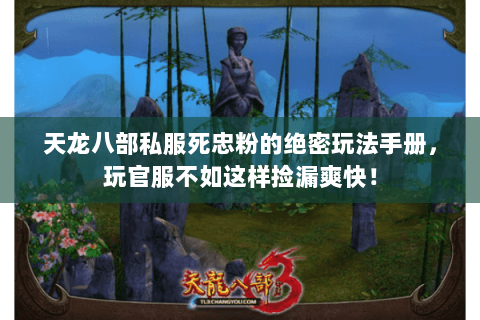 天龙八部私服死忠粉的绝密玩法手册,玩官服不如这样捡漏爽快! 天龙八部私服死忠粉的绝密玩法手册,玩官服不如这样捡漏爽快!