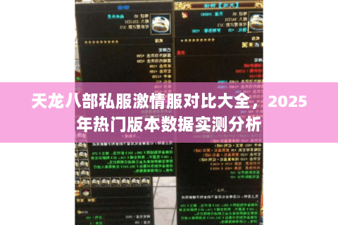天龙八部私服激情服对比大全,2025年热门版本数据实测分析 天龙八部私服激情服对比大全,2025年热门版本数据实测分析