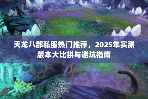 天龙八部私服热门推荐,2025年实测版本大比拼与避坑指南 天龙八部私服热门推荐,2025年实测版本大比拼与避坑指南
