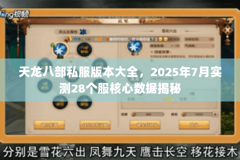 天龙八部私服版本大全,2025年7月实测28个服核心数据揭秘 天龙八部私服版本大全,2025年7月实测28个服核心数据揭秘