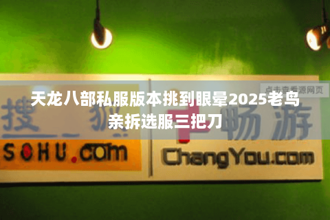 天龙八部私服版本挑到眼晕2025老鸟亲拆选服三把刀 天龙八部私服版本挑到眼晕2025老鸟亲拆选服三把刀