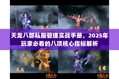 天龙八部私服管理实战手册,2025年玩家必看的八项核心指标解析 天龙八部私服管理实战手册,2025年玩家必看的八项核心指标解析