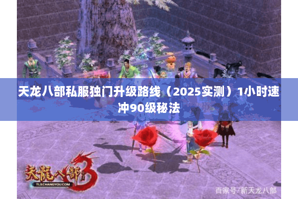 天龙八部私服独门升级路线(2025实测)1小时速冲90级秘法 天龙八部私服独门升级路线(2025实测)1小时速冲90级秘法