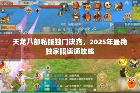 天龙八部私服独门诀窍,2025年最稳独家服速通攻略 天龙八部私服独门诀窍,2025年最稳独家服速通攻略