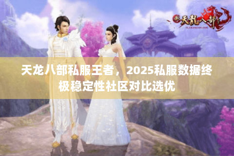 天龙八部私服王者,2025私服数据终极稳定性社区对比选优 天龙八部私服王者,2025私服数据终极稳定性社区对比选优