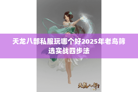 天龙八部私服玩哪个好2025年老鸟筛选实战四步法 天龙八部私服玩哪个好2025年老鸟筛选实战四步法