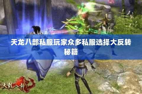 天龙八部私服玩家众多私服选择大反转秘籍 天龙八部私服玩家众多私服选择大反转秘籍