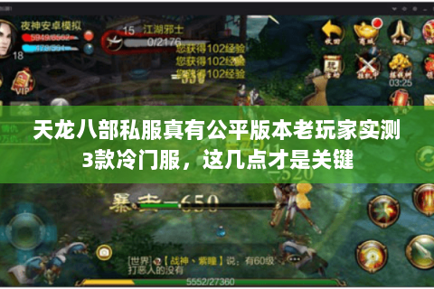 天龙八部私服真有公平版本老玩家实测3款冷门服,这几点才是关键 天龙八部私服真有公平版本老玩家实测3款冷门服,这几点才是关键