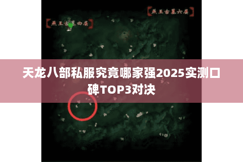 天龙八部私服究竟哪家强2025实测口碑TOP3对决 天龙八部私服究竟哪家强2025实测口碑TOP3对决