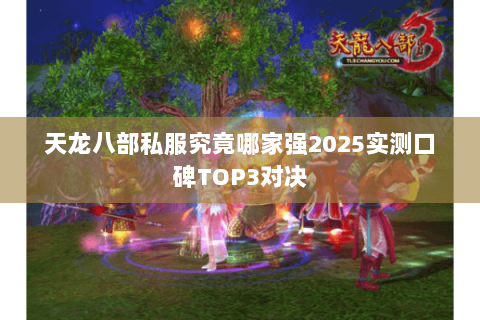天龙八部私服究竟哪家强2025实测口碑TOP3对决 天龙八部私服究竟哪家强2025实测口碑TOP3对决