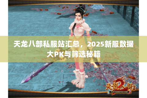 天龙八部私服站汇总，2025新服数据大PK与筛选秘籍