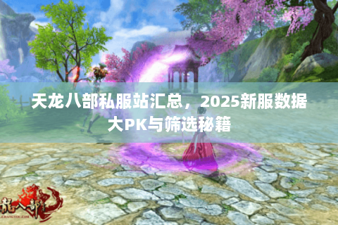天龙八部私服站汇总，2025新服数据大PK与筛选秘籍
