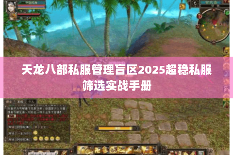 天龙八部私服管理盲区2025超稳私服筛选实战手册 天龙八部私服管理盲区2025超稳私服筛选实战手册