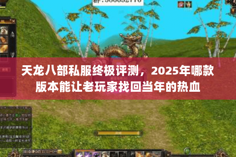 天龙八部私服终极评测,2025年哪款版本能让老玩家找回当年的热血 天龙八部私服终极评测,2025年哪款版本能让老玩家找回当年的热血