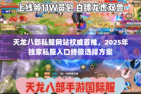 天龙八部私服网站权威首推,2025年独家私服入口终极选择方案 天龙八部私服网站权威首推,2025年独家私服入口终极选择方案