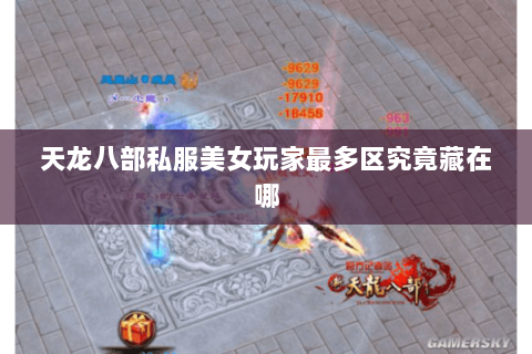 天龙八部私服美女玩家最多区究竟藏在哪 天龙八部私服美女玩家最多区究竟藏在哪